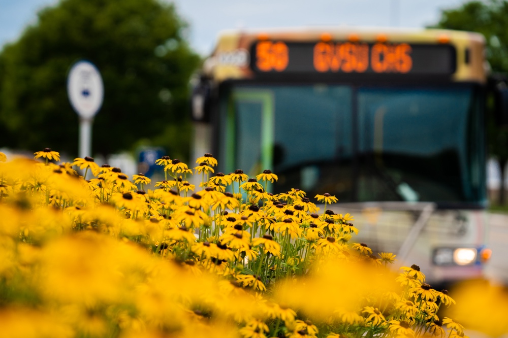 Office of Civil Rights and Title IX Annual Report for 2020-2021